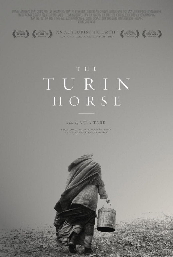 the-turin-horse-poster-art