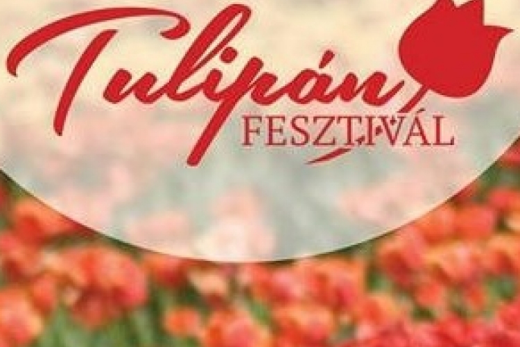 Programfigyelő - április 11 - 17.