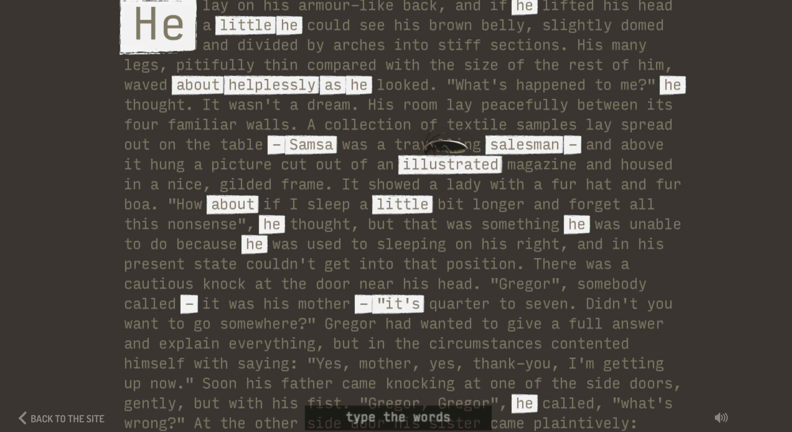 metamorphosis-image-06